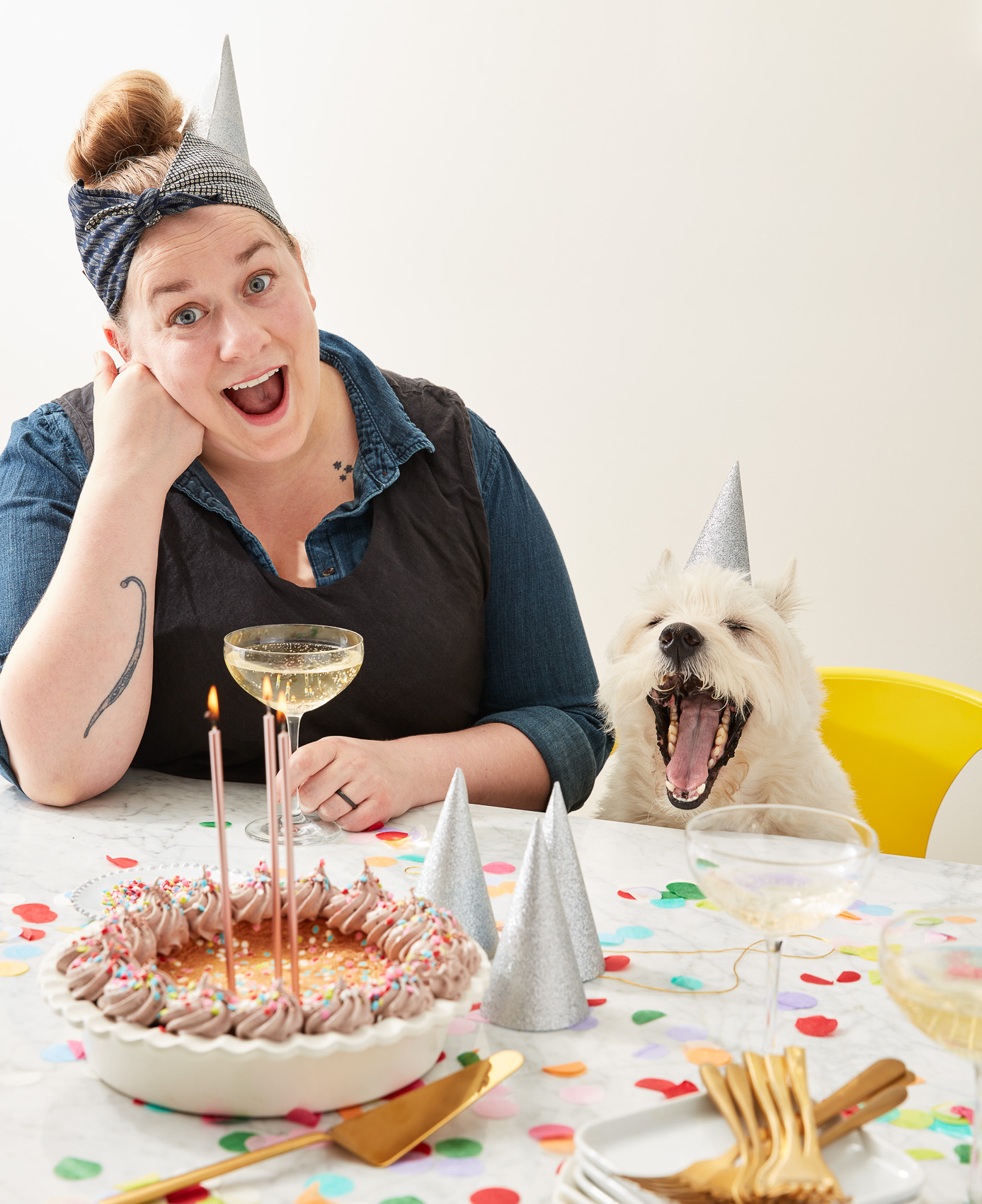 CH4_Birthday-Cake-Pie_erin-mcdowell_book-on-pie_2019-11-05_mark-weinberg_1290